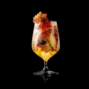 cocktail on black background with fruit and garnishment photographed and styled by sofus graae