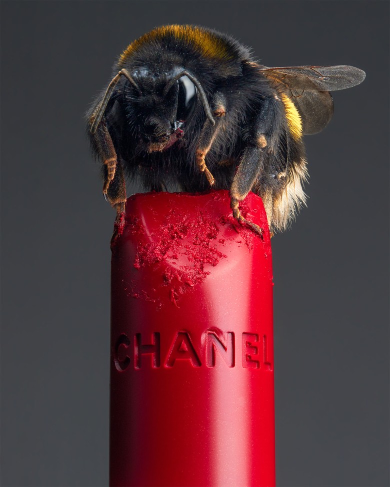haute hive chanel bee still life cosmetics by sofus graae