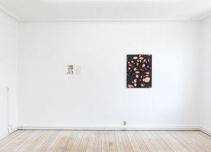 Solo exhibition by Chilean-Swedish artist Javier Alvarez Sagredo at Matteo Cantarella, Copenhagen. photographed by sofus graae